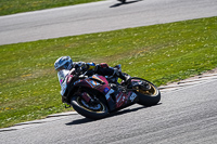 anglesey-no-limits-trackday;anglesey-photographs;anglesey-trackday-photographs;enduro-digital-images;event-digital-images;eventdigitalimages;no-limits-trackdays;peter-wileman-photography;racing-digital-images;trac-mon;trackday-digital-images;trackday-photos;ty-croes